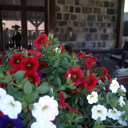 Nocľah s raňajkami Janosik Zdiar