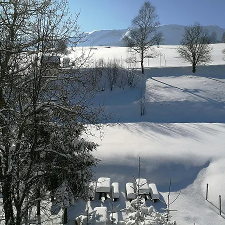 Janosik Отель типа 